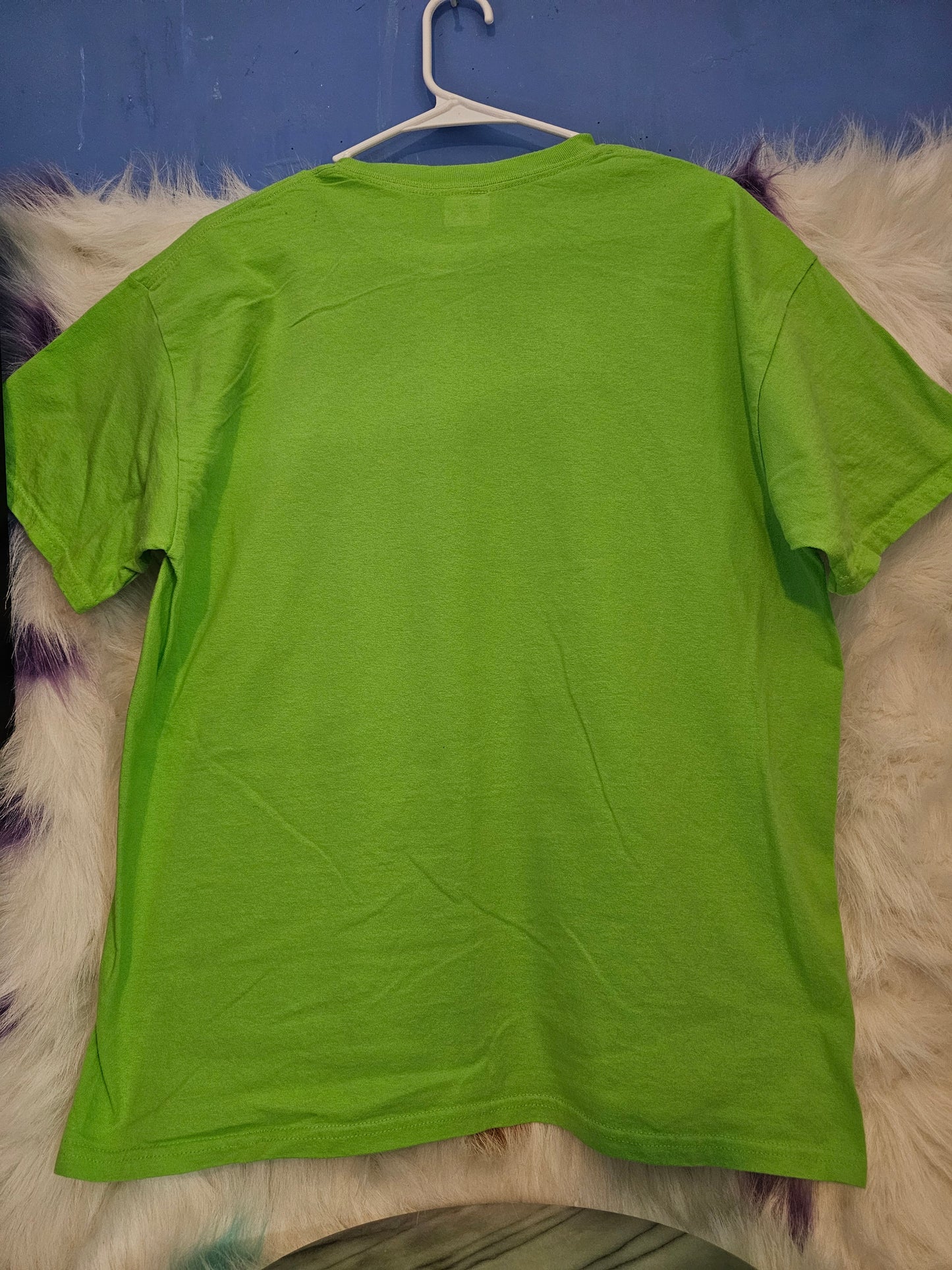 Size L 100%cotton light green Jesus is the reason Tshirt