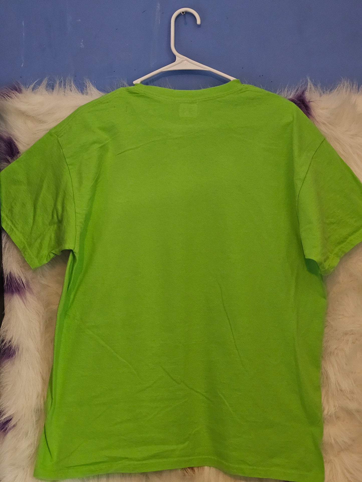 Size L 100%cotton light green Jesus is the reason Tshirt
